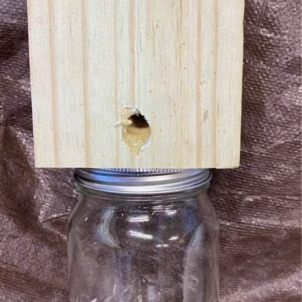 PAW PAW’S HANDMADE CARPENTER BEE TRAPS